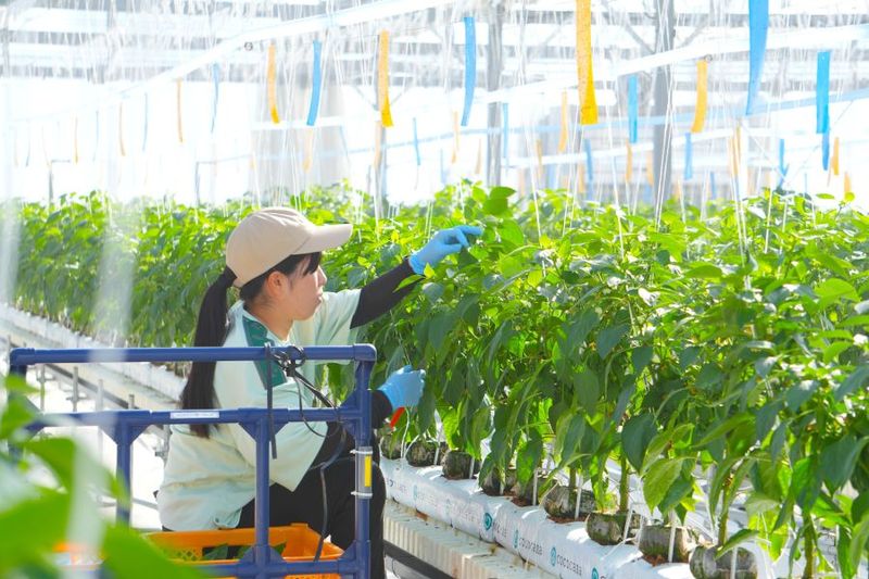AGRIST株式会社の求人・転職情報