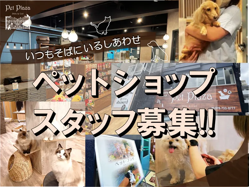 有限会社ペット・プラザの求人・転職情報