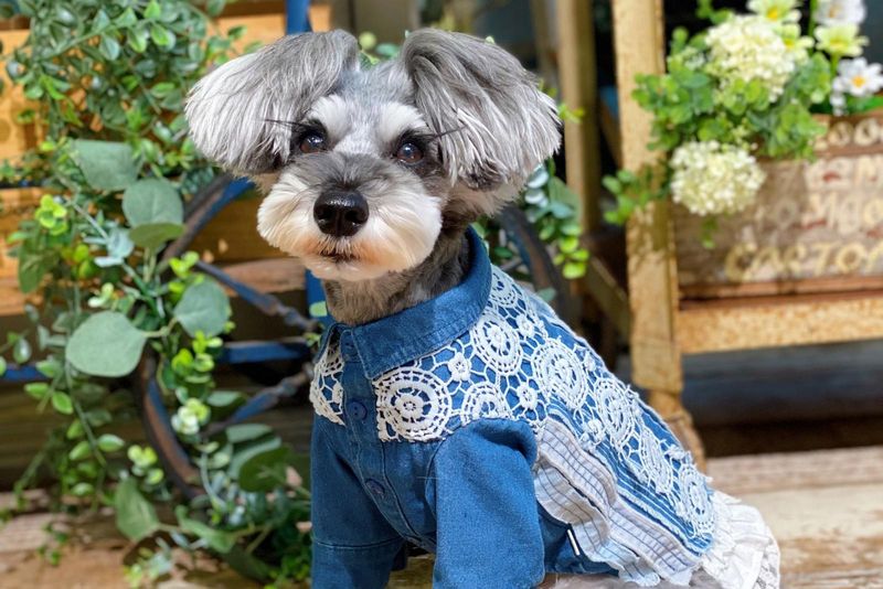 株式会社アズノゥアズの求人・転職情報