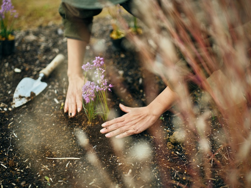 株式会社ゴールドウインの求人・転職情報