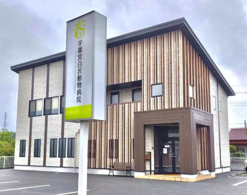 株式会社Withmalの求人・転職情報