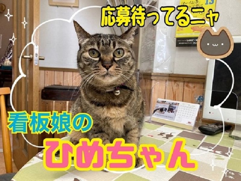 有限会社影山モータースの求人・転職情報