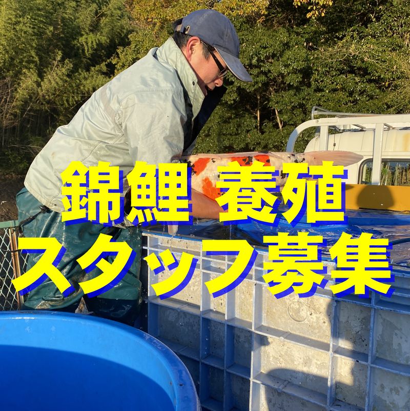 株式会社京阪水処理開発の求人・転職情報