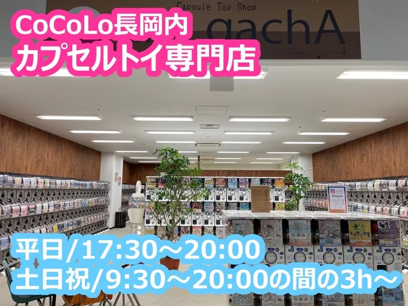 カプセルトイ専門店「nii-gachA nagaoka station」のアルバイト・バイト求人情報