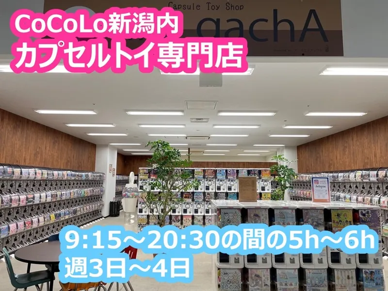株式会社アールエスアップルのアルバイト・バイト求人情報