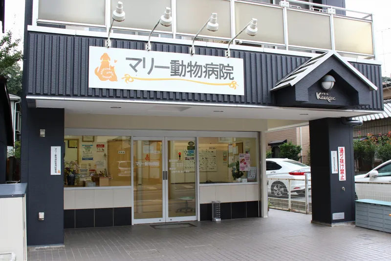 マリー動物病院合同会社の求人・転職情報