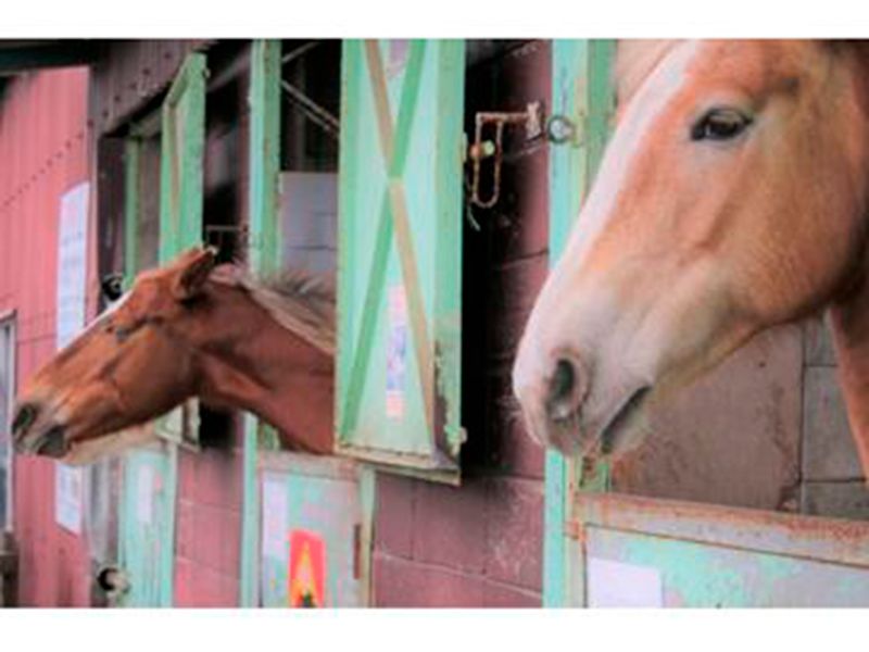 SPD株式会社 埼玉支社　EV082のアルバイト・バイト求人情報-26