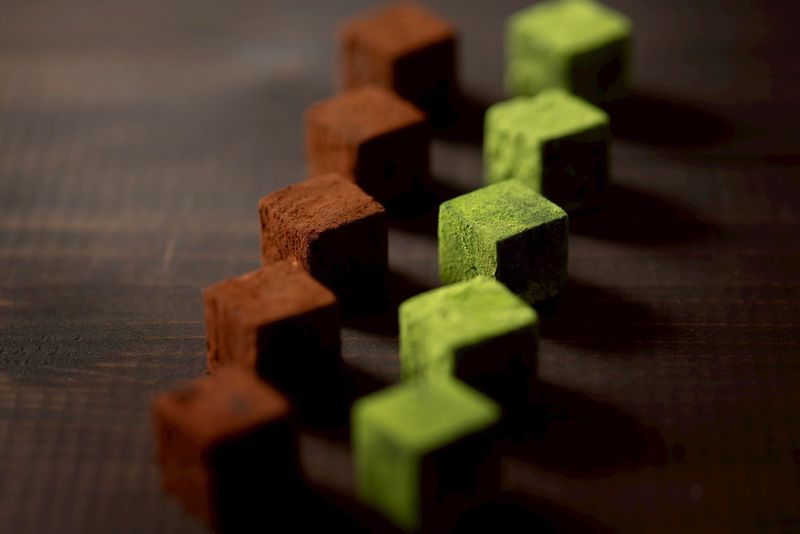 株式会社フォンスの求人・転職情報