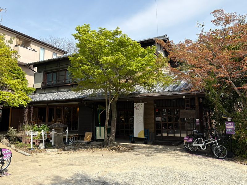 特定非営利活動法人フォーラムひこばえの求人・転職情報