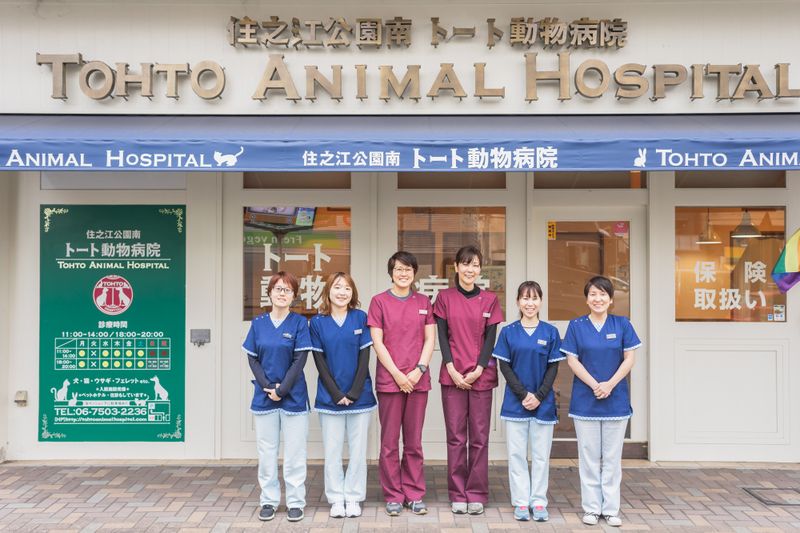 株式会社トートアニマルホスピタルの求人・転職情報