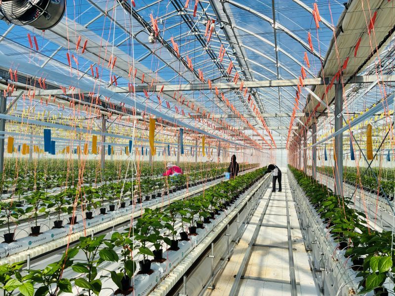AGRIST株式会社の求人・転職情報