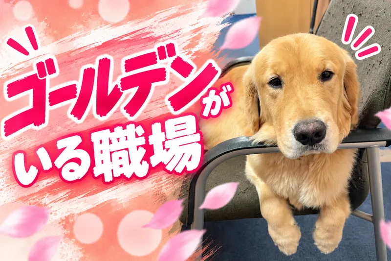寿里苑花舞の郷　デイサービスセンターのアルバイト・バイト求人情報