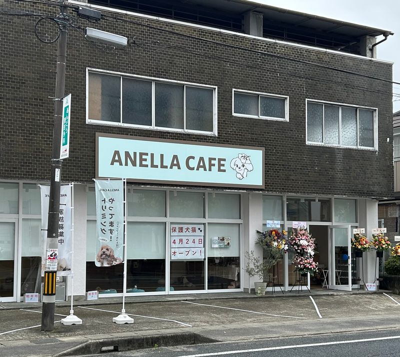 合同会社リフォレストブルーの求人・転職情報