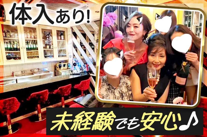 パブ パラダイスのアルバイト・バイト求人情報