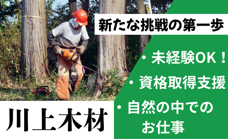 川上木材株式会社の求人・転職情報