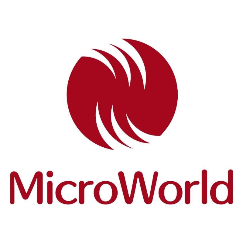 ＭｉｃｒｏＷｏｒｌｄ株式会社の求人・転職情報