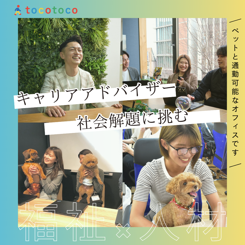 ｔｏｃｏｔｏｃｏ株式会社の求人・転職情報