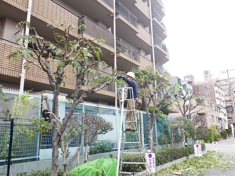 株式会社武庫之荘グリーンの求人・転職情報