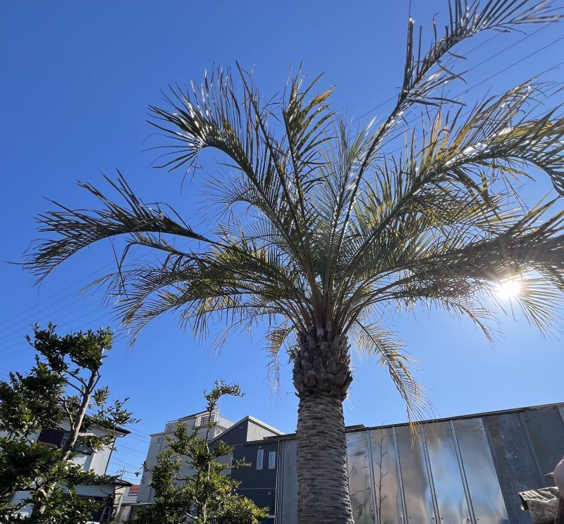 株式会社徳寿園の求人・転職情報