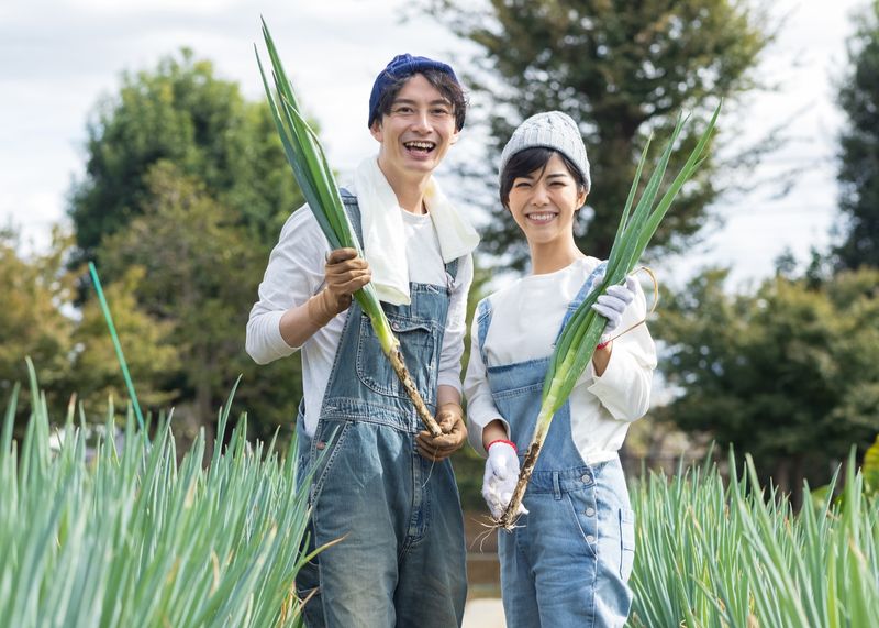 クライム株式会社の求人・転職情報