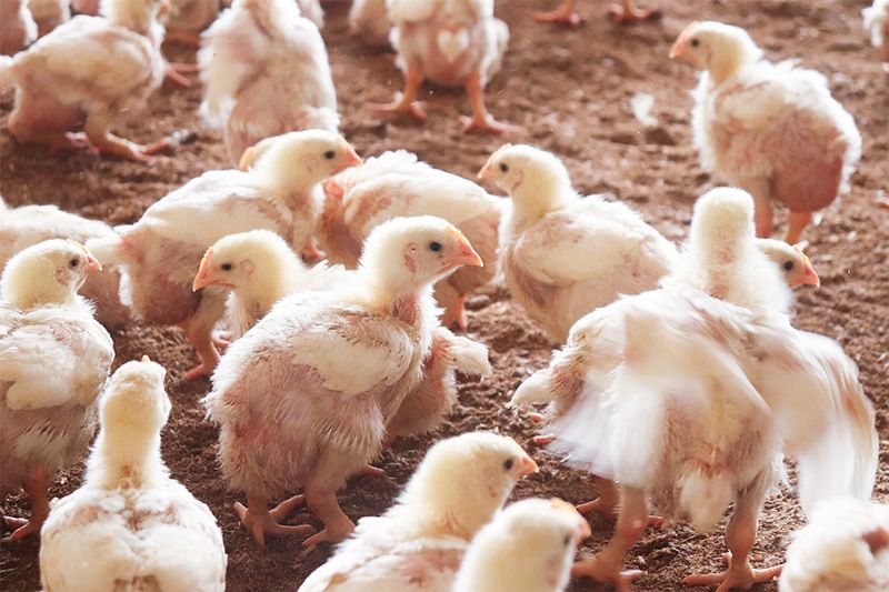 株式会社カワフジの求人・転職情報