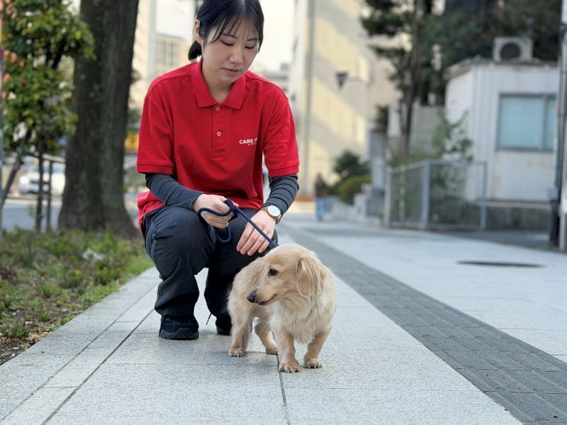 ｔｏｃｏｔｏｃｏ株式会社の求人・転職情報