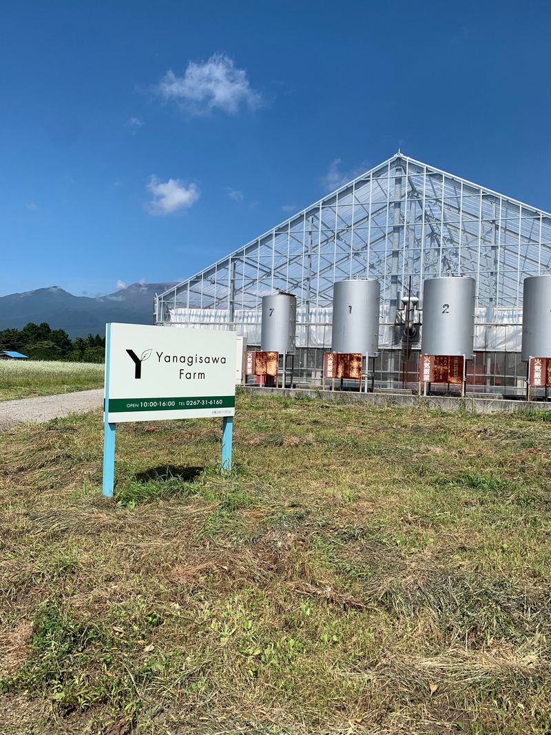 (株)Y　FARMの求人・転職情報