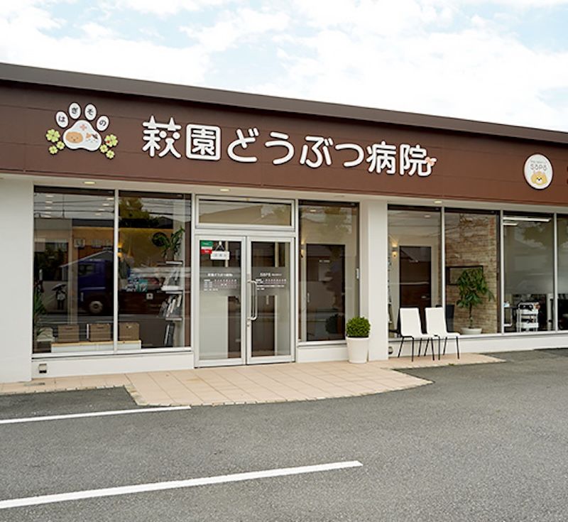 株式会社Withmalの求人・転職情報