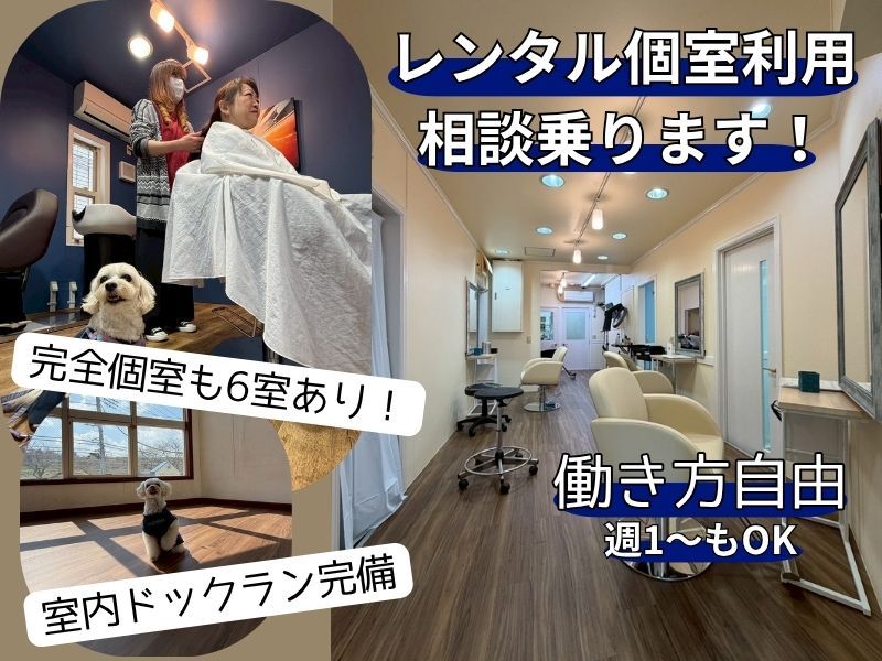 有限会社ティーアイクラシックの求人・転職情報