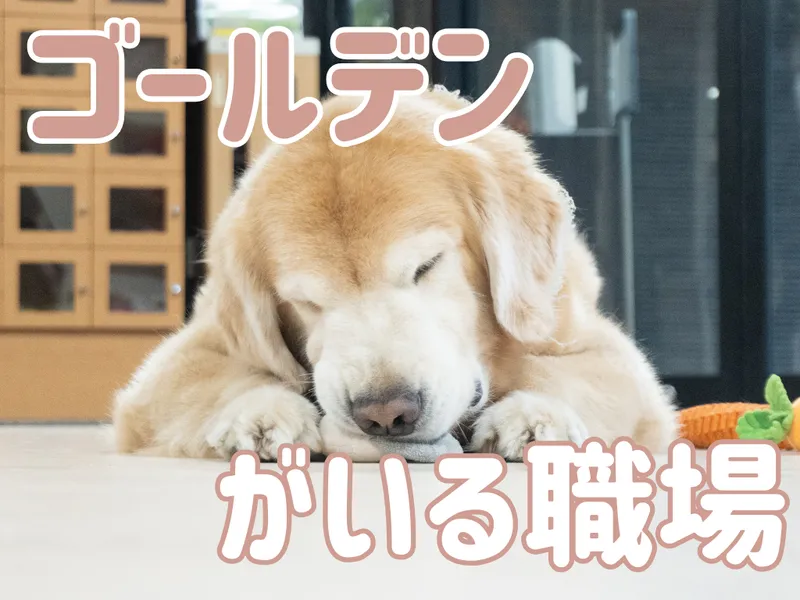 社会福祉法人博光福祉会の求人・転職情報
