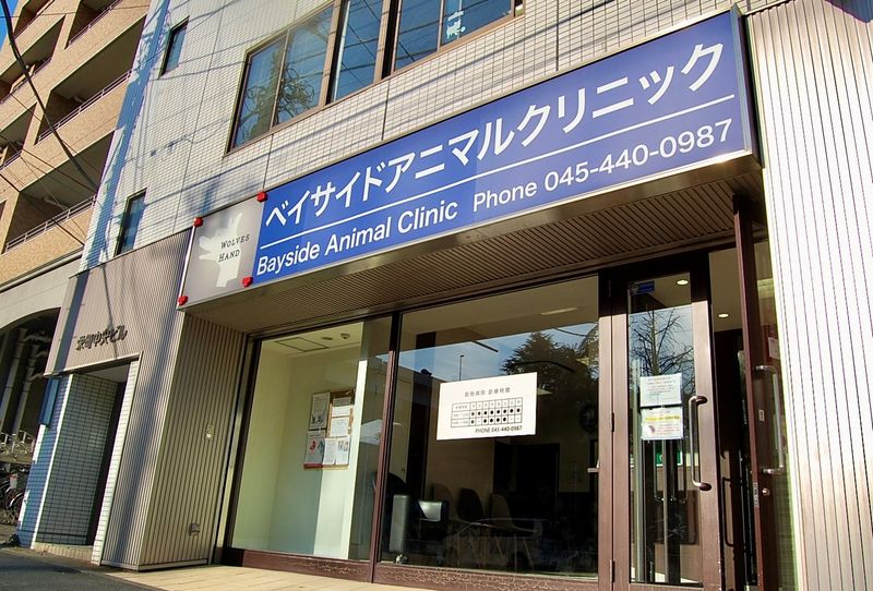 株式会社 WOLVES HANDの求人・転職情報