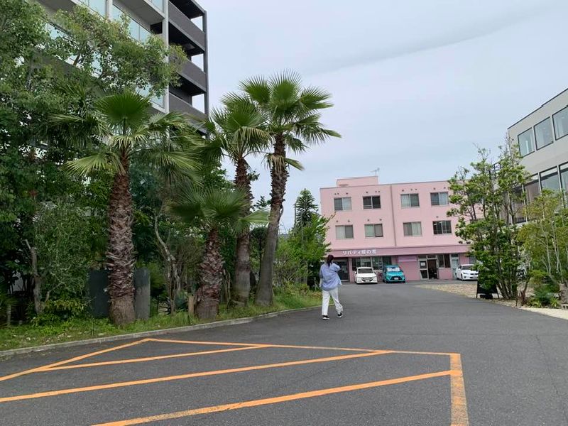 医療法人白櫻会小金沢歯科診療所の求人・転職情報