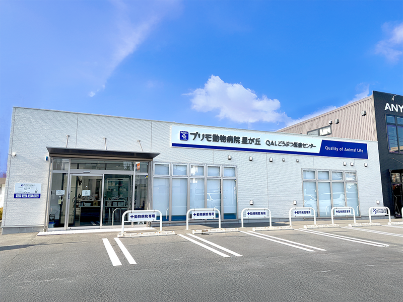 プリモ動物病院グループ 株式会社JPR-0002の求人・転職情報