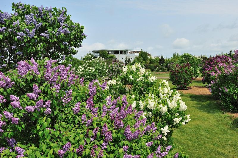 公益財団法人札幌市公園緑化協会-0002の求人・転職情報