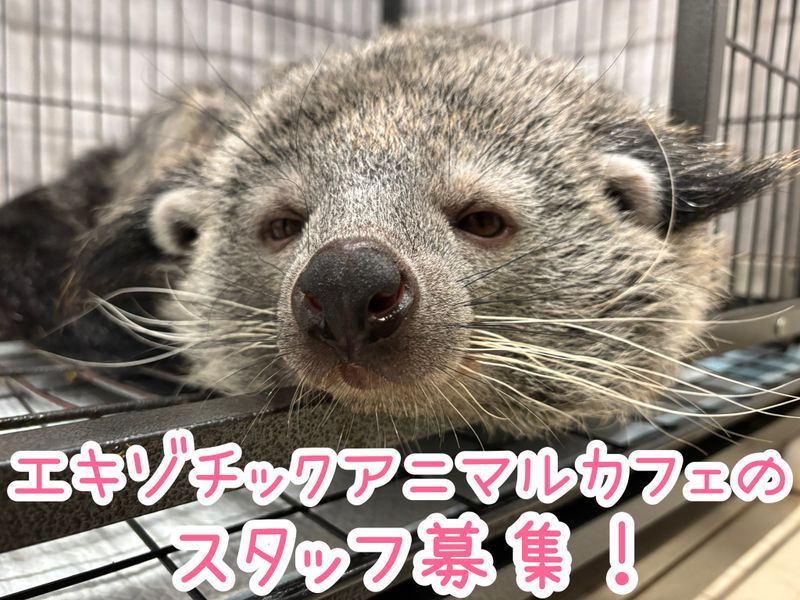 株式会社ＲａｐｉｄＢｒａｉｎの求人・転職情報