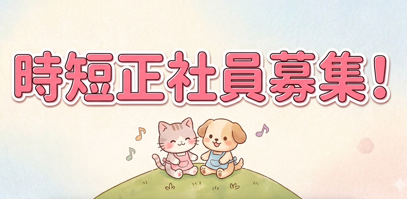 西新井幼稚園の求人・転職情報