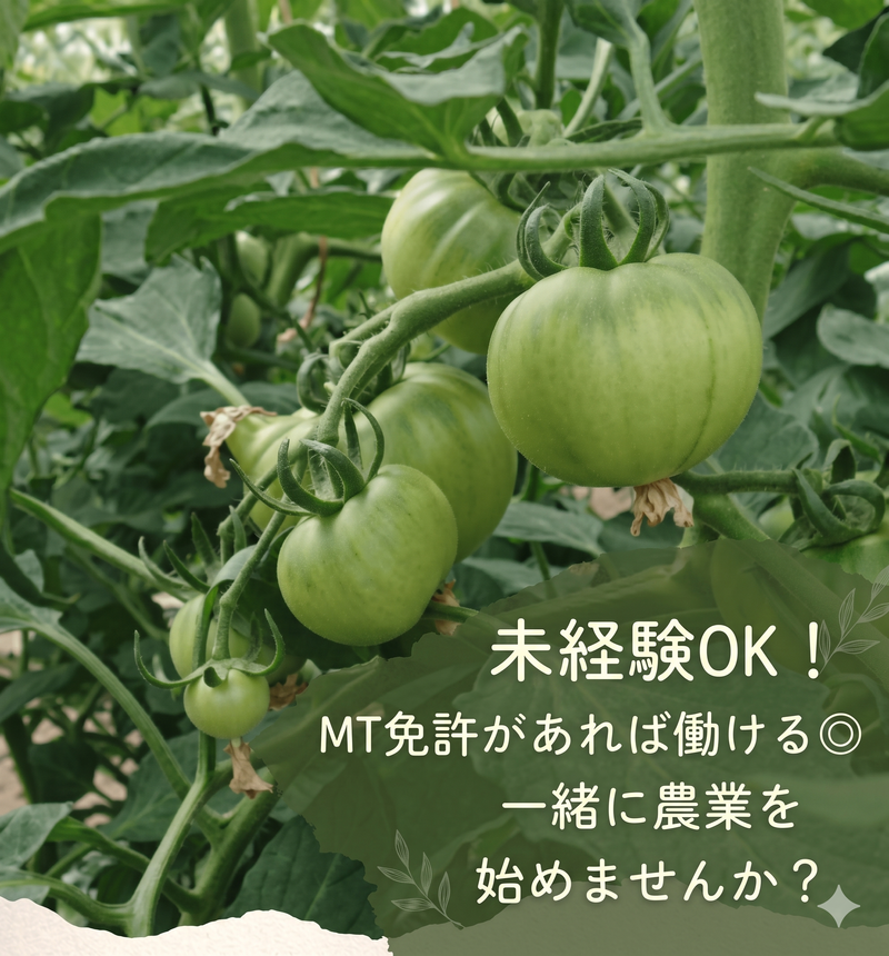 井坂農園のアルバイト・バイト求人情報-02