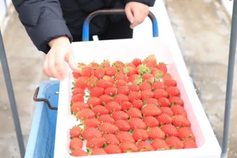くまジョブ(大熊町無料職業紹介所)の求人・転職情報