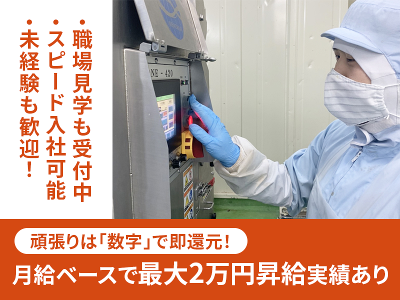 サン・ビーフ株式会社の求人・転職情報