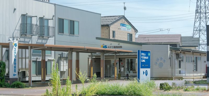 株式会社アステラの求人・転職情報