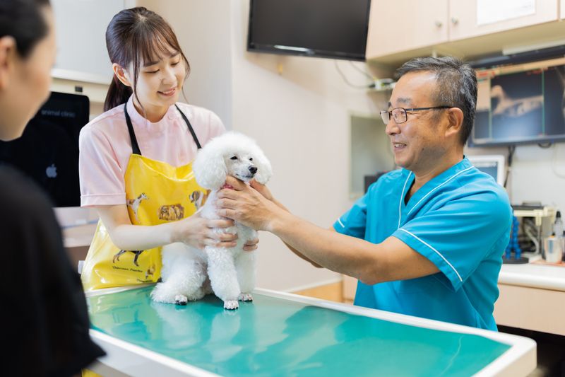 有限会社　とだ動物病院の求人・転職情報