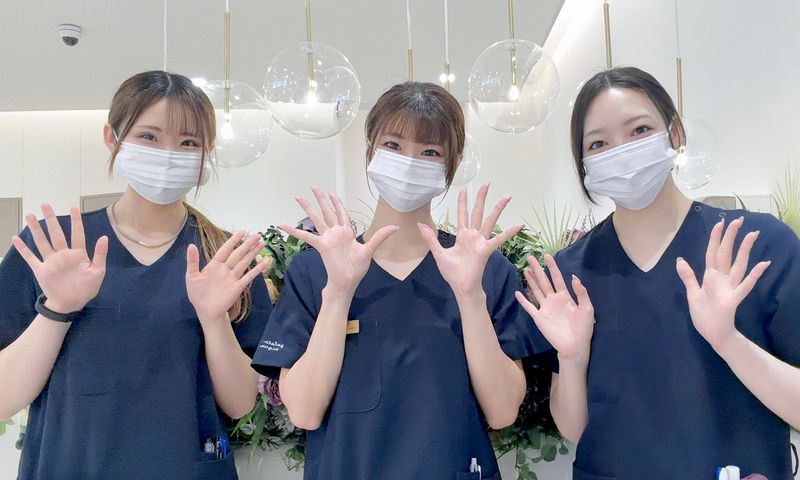 医療法人社団　白美会の求人・転職情報