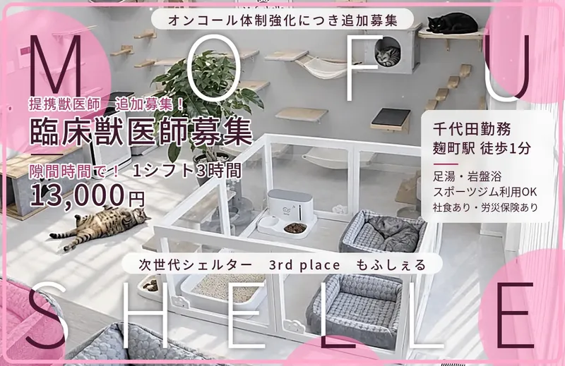 小さな保護猫シェルターもふしぇる の求人・転職情報