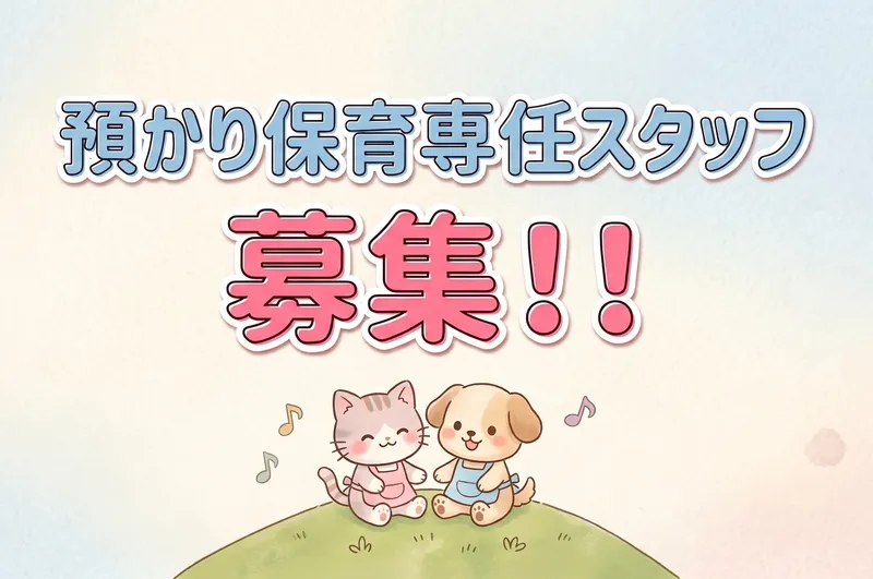 宮崎台幼稚園のアルバイト・バイト求人情報