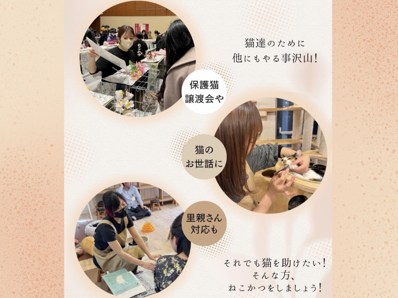 ＮＰＯ法人ねこかつの求人・転職情報