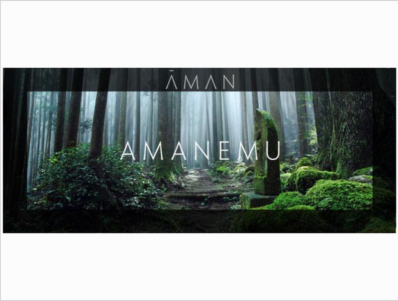 Amanemuの求人・転職情報
