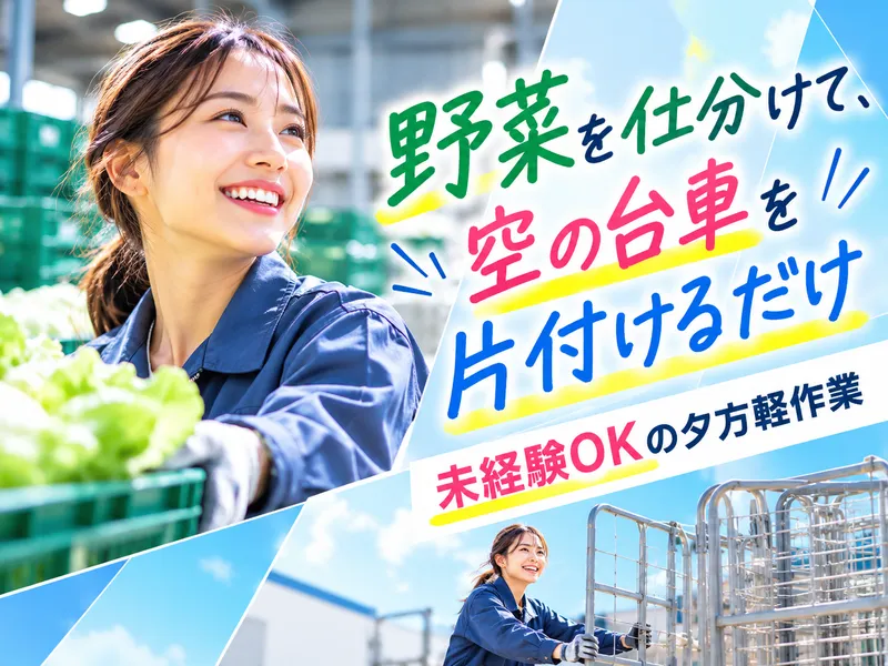 エヌズ・スタッフサービス株式会社