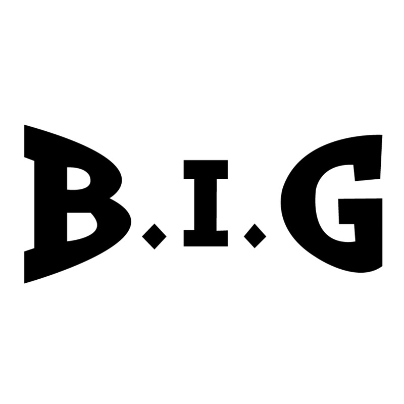 株式会社B.I.Gの求人・転職情報