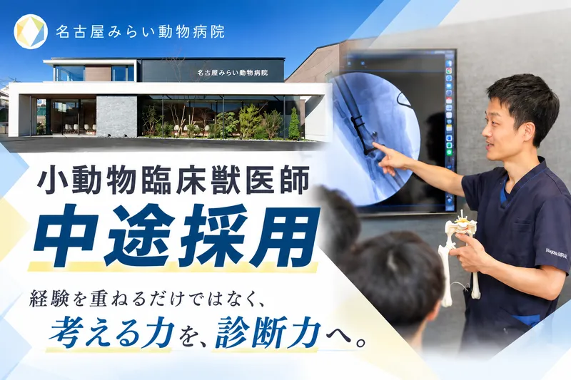株式会社MRIの求人・転職情報