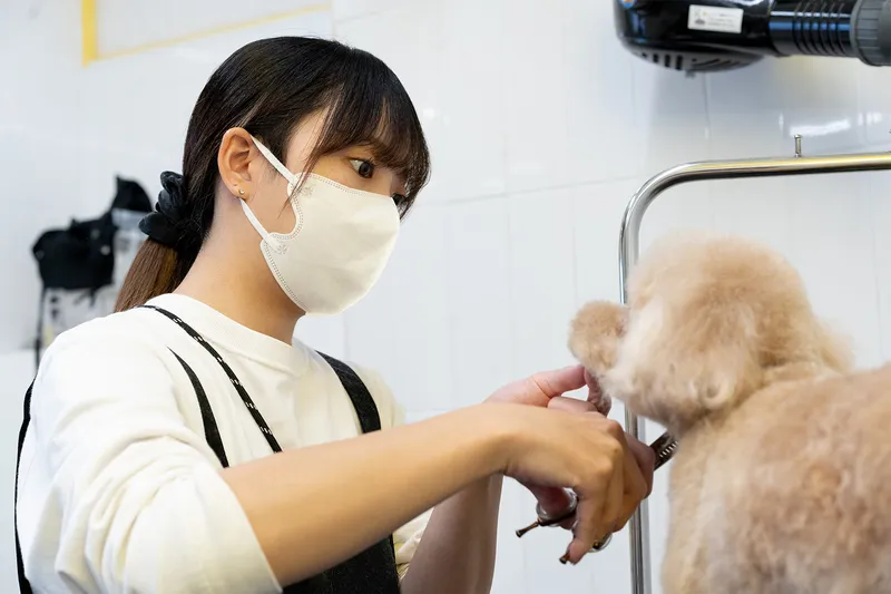 ＨＯＴ　ＤＯＧ　ＳＴＵＤＩＯ株式会社の求人・転職情報